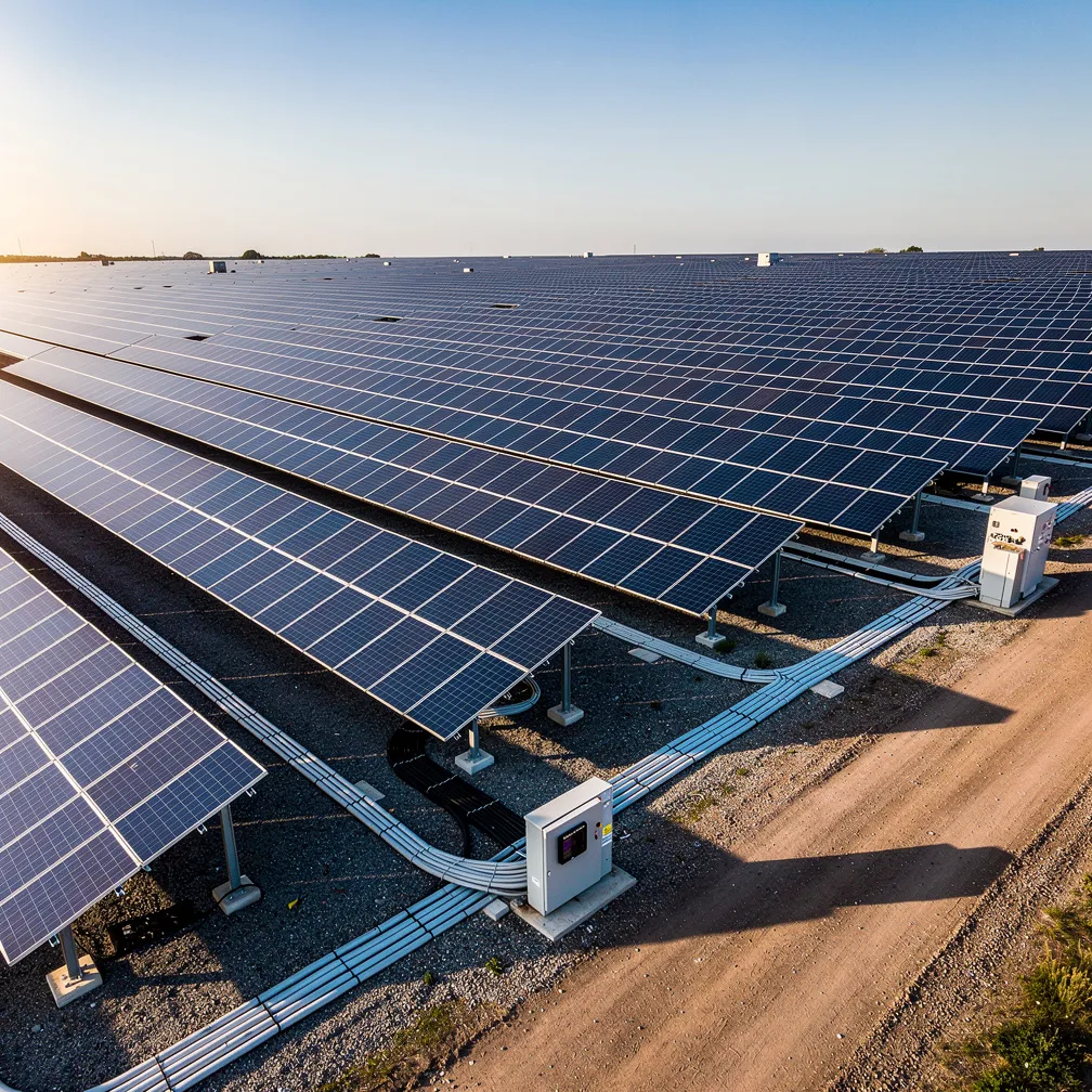 Solar farm angled golden hour